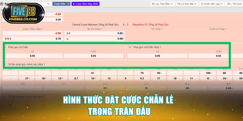 Hình thức đặt cược chẵn lẻ trong trận đấu